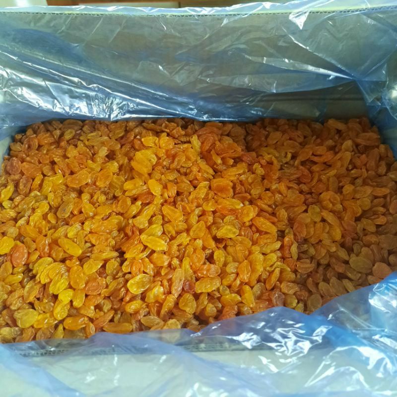 

Kismis golden asam manis 1kg / kismis jumbo 1kg