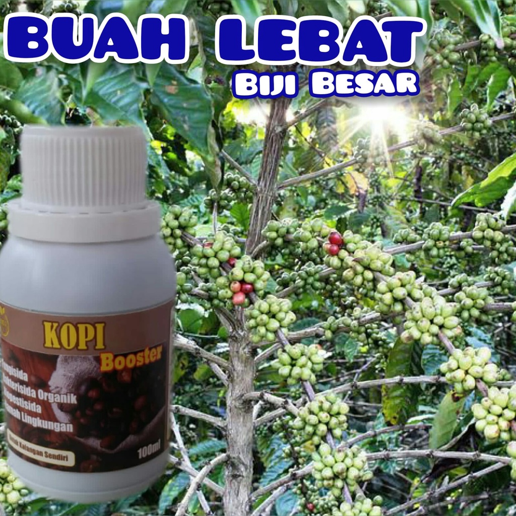 Pupuk Pelebat Buah Kopi Pupuk Organik Cair 100ml Pupuk Booster Buah Kopi Pupuk Buah Kopi Cepat Berbu