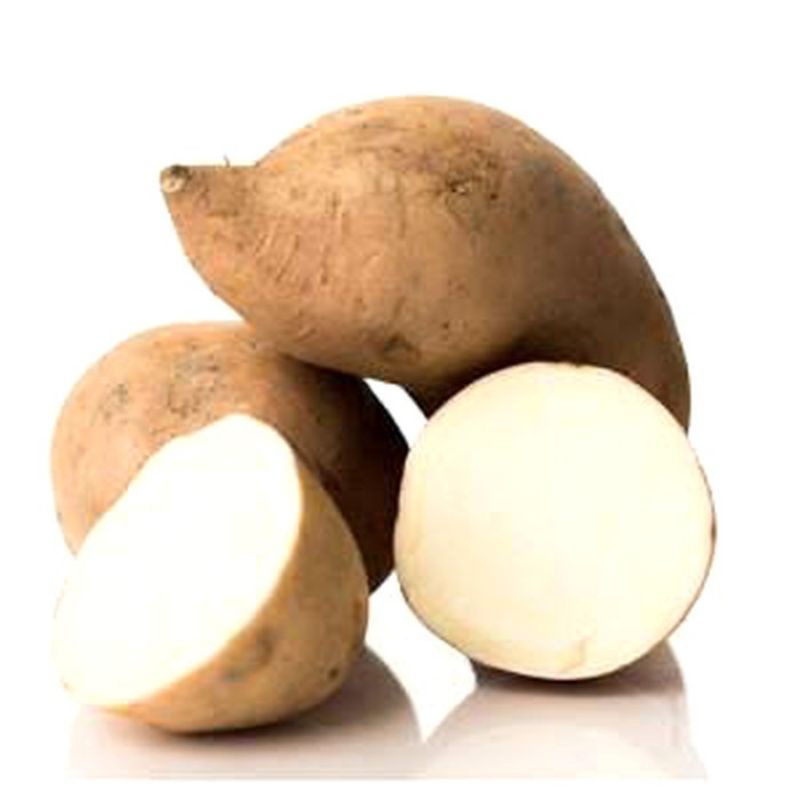 

Ubi Rambat Bolu/Ubi Putih