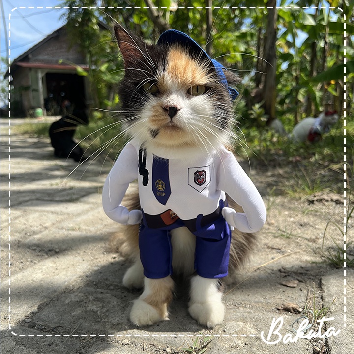 Kostum Anak Sekolah untuk kucing dan anjing Baju Berdiri anak SMP / Kostum kucing Murah / Baju Kucing Tangerang size S-XL