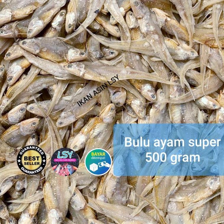 

Model Keren.. ikan asin Bulu ayam kering super 500 gram ETB