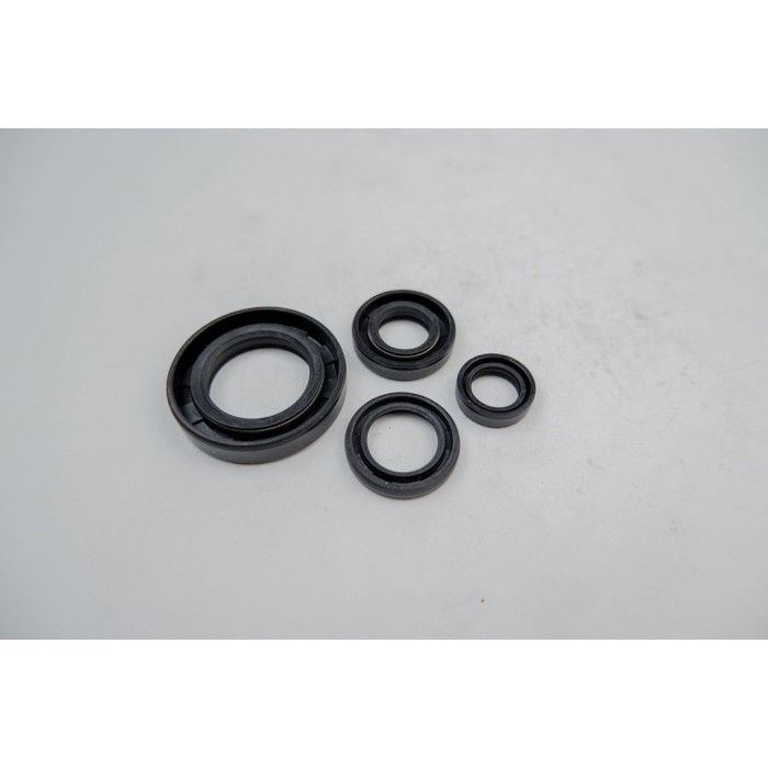 Seal Komplit Yamaha Scorpio Z - 5BP-E7465-00