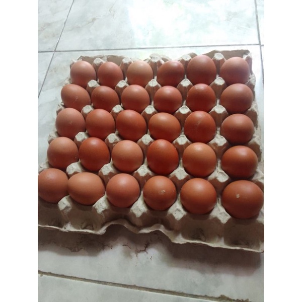 

telur ayam 30butir