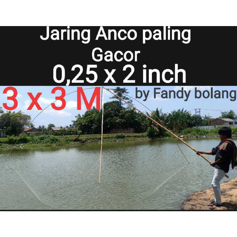 JARING ANCO 3 X 3 M / 0,25 / 2inch