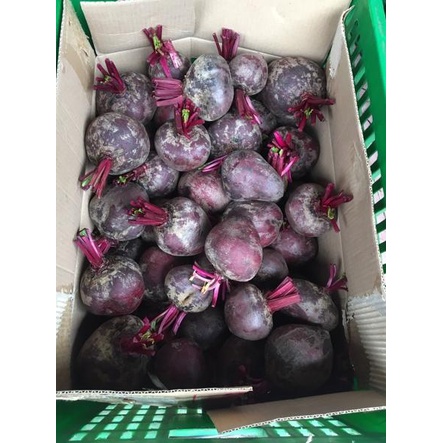 

❤[PROMO MURAH!!!]❤ Buah bit / organic beet root FRESH