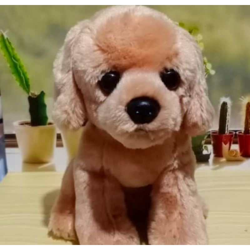 Boneka anjing Baby Golden