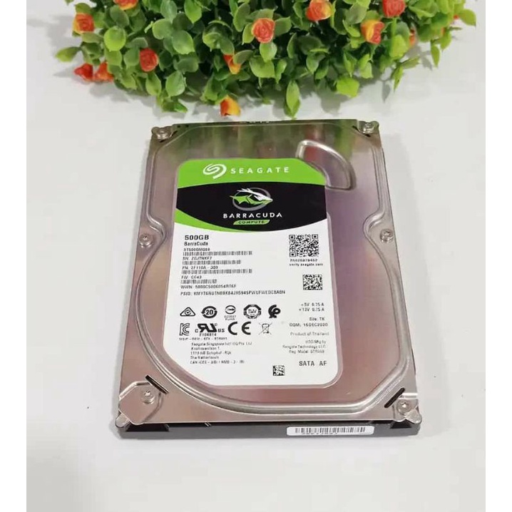 Hardisk Seagate barracuda Ijo 500gb