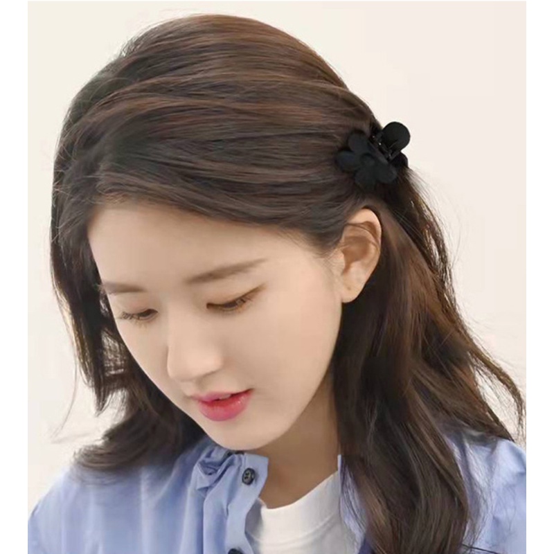 Korea Klip Rambut Kecil Perempuan Piring Rambut Ponytail Tinggi Tetap Hair Clip