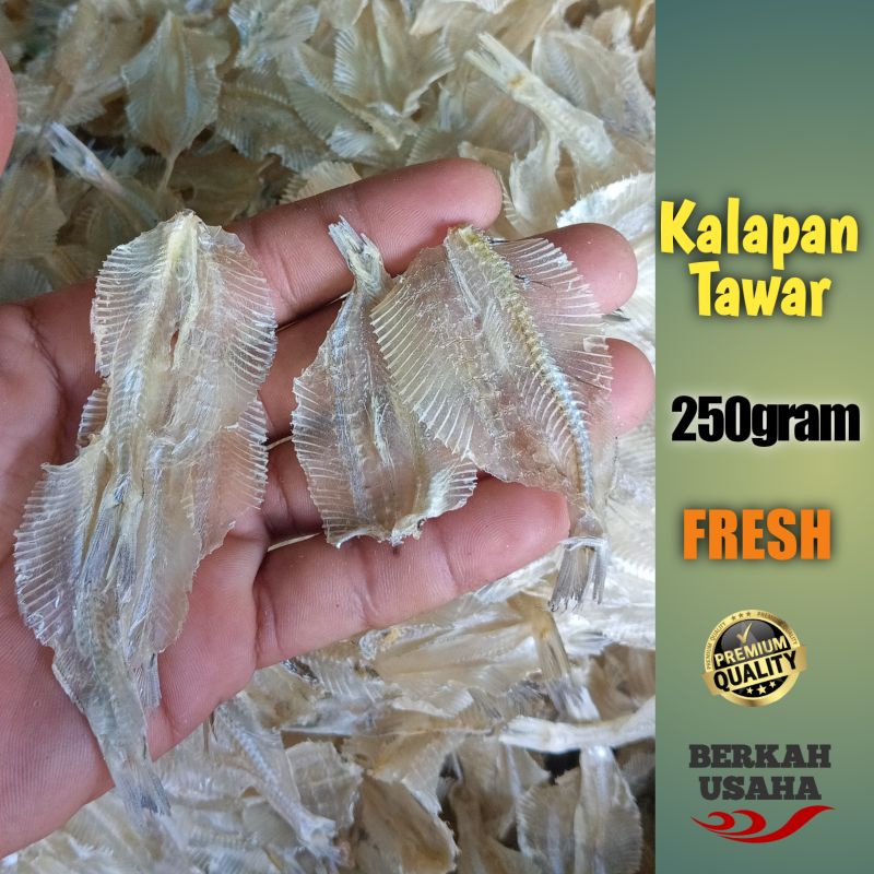 

IKAN ASIN TIPIS KALAPAN TAWAR KERING