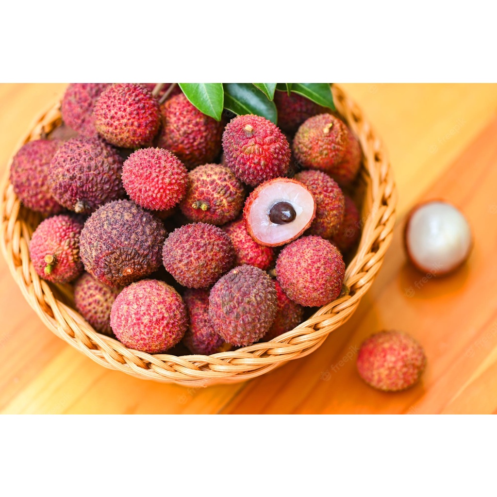 Benih Bibit Biji - Buah Leci Manis Lychee (Litchi chinensis) Fruit Seeds - IMPORT