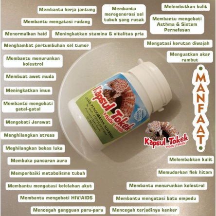 

☄️Murah Sale 2.2☄️ Kapsul Tokek Mbah MINAH