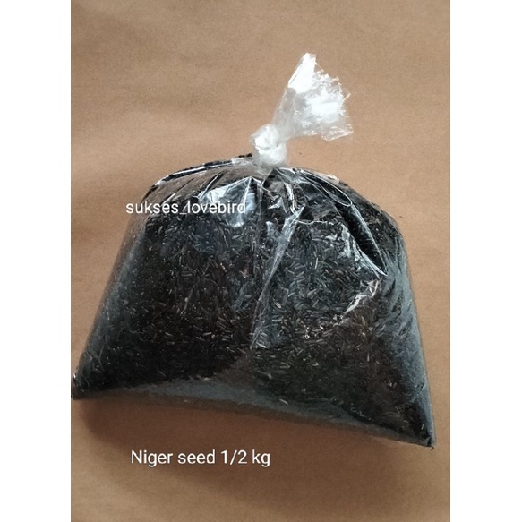 Niger Seed 1/2 kg nigger pakan kenari siskin