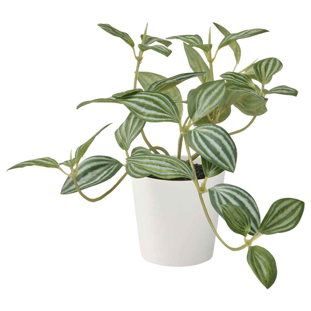 [IKEA] [PROMO] [COD] FEJKA Tanaman tiruan dengan pot, dalam/luar ruang peperomia, 6 cm