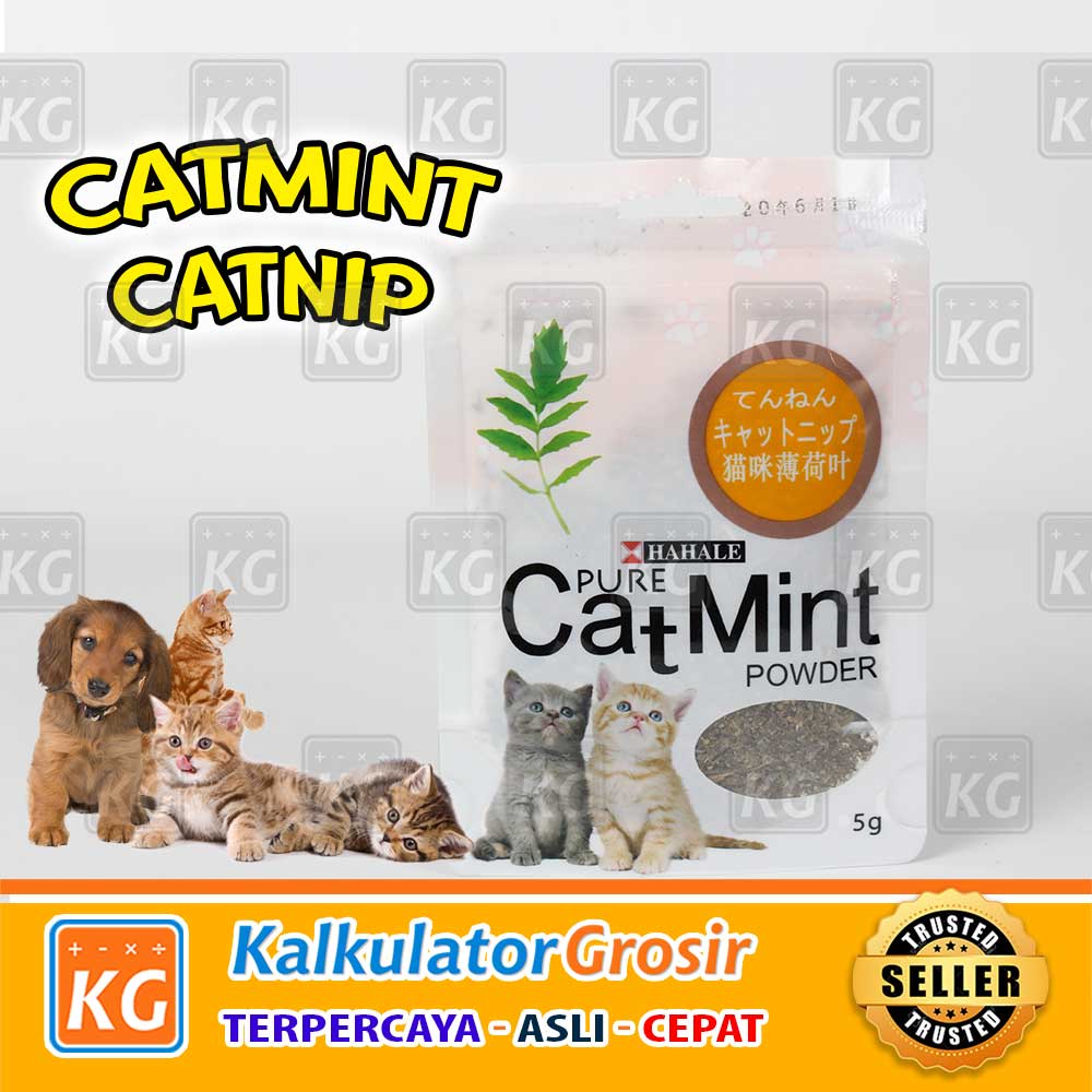 Catnip catmint cat mint - PURE CATMINT POWDER - BIKIN FLY KUCING Kumis Kucing