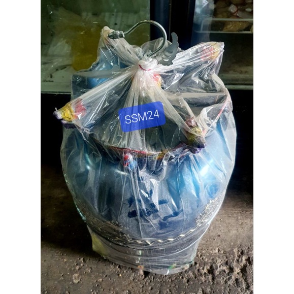 Terlaris Kandang/Sangkar Perkutut Mahkota Fiber Istimewa Bisa Kirim Indonesia