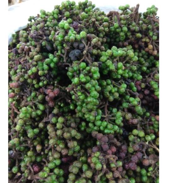 

Promo | KP8 | Bumbu Andaliman 250gr