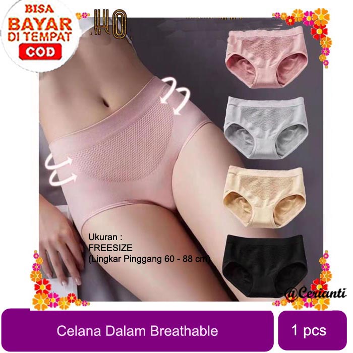 Celana Dalam CD Underpants Mulus Es Sutra Celana Briefs Elastis Seamless Mid Waist_Cerianti