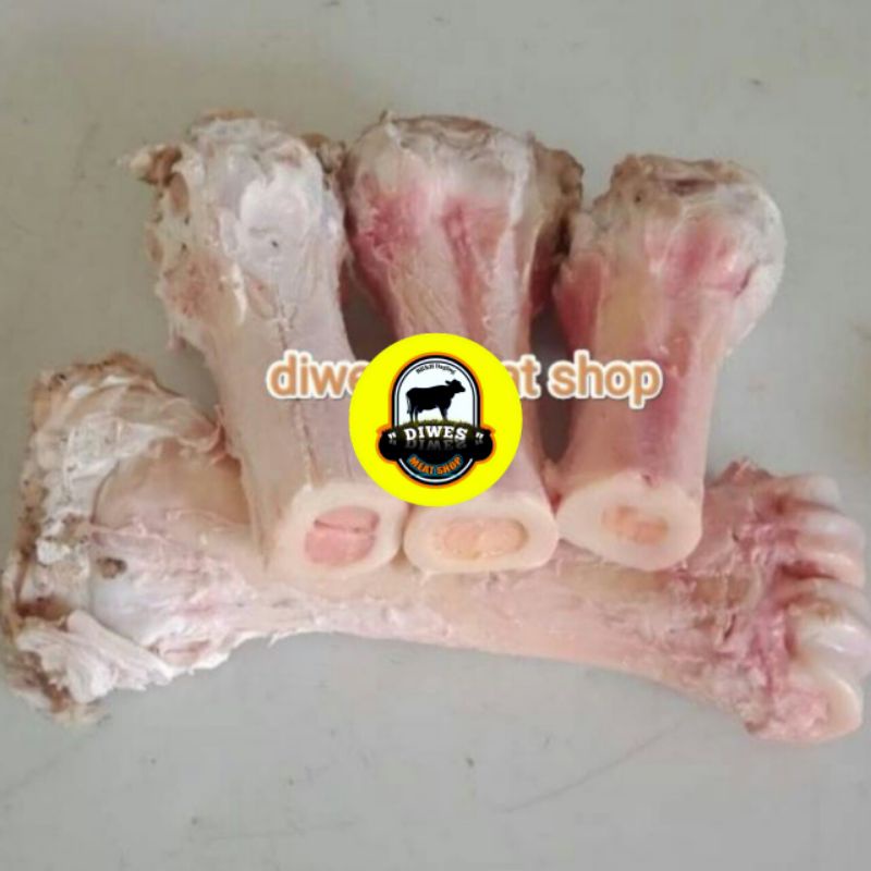 

TULANG SUM SUM KAKI 1 KG BERKUALITAS FREZ BARU SUPER