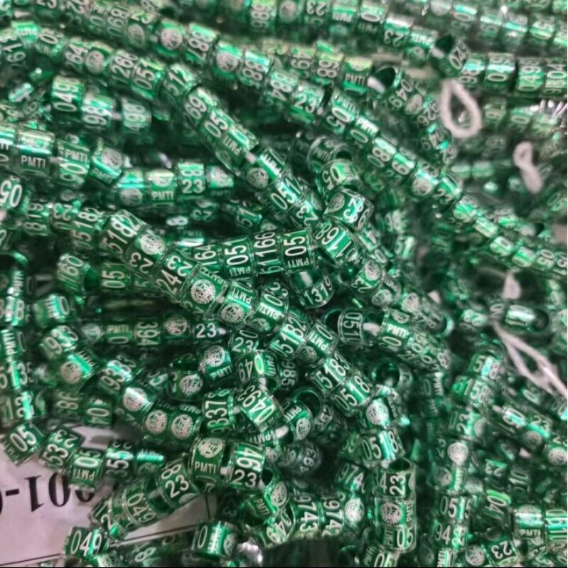 RK RING PMTI 2025 RING MERPATI PMTI RESMI 2025