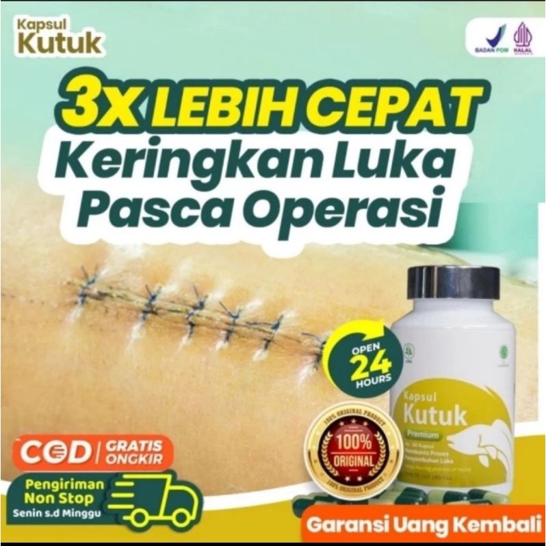 Kapsul Kutuk Premium Asli Original Albumin Ikan Gabus Obat Luka Pasca Operasi Herbal