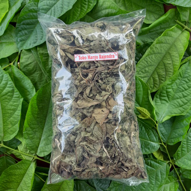 

Daun Insulin Kering Isi 1 Kg Murni