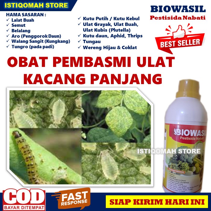 Obat Hama Kutu Daun Tanaman Kacang Panjang BIOWASIL 500ML Pestisida Nabati Obat Semprot Hama Kutu Daun Aphid Thrips Kutu Putih Kutu Kebul Pada Tanaman Kacang Panjang yang Bagus dan Manjur TERLARIS MURAH Bisa COD Bayar di Rumah