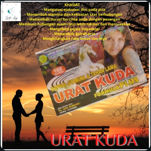 Suplemen Herbal Pria Kapsul Urat Kuda Formula Plus Stamina & Tahan Lama 10x Lebih Dahsyat 1 PCS / 1 
