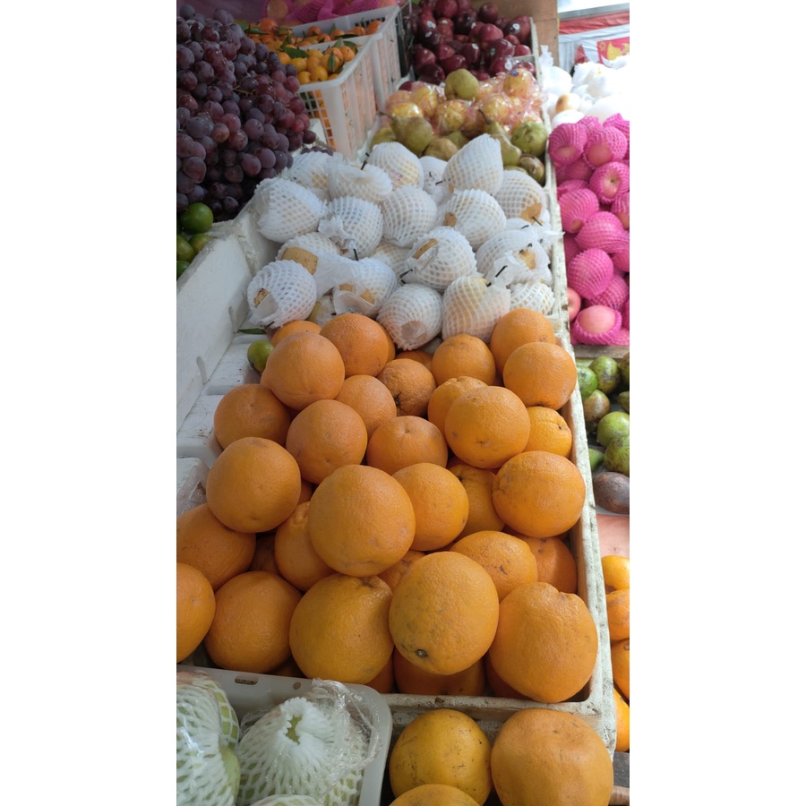 

Orange Sunkist/ Jeruk Sunkist 500gr
