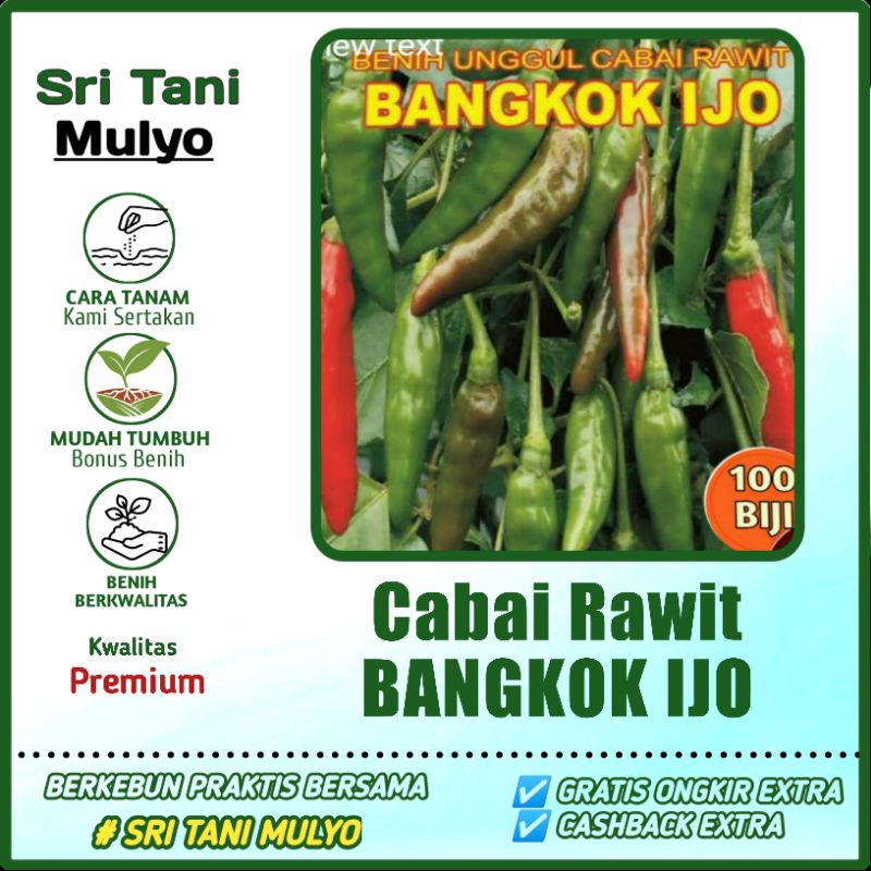100 Biji - Benih Cabai Rawit BANGKOK IJO - Bibit Cabe Hijau -Bibit Sayuran Benih Sayuran Repack
