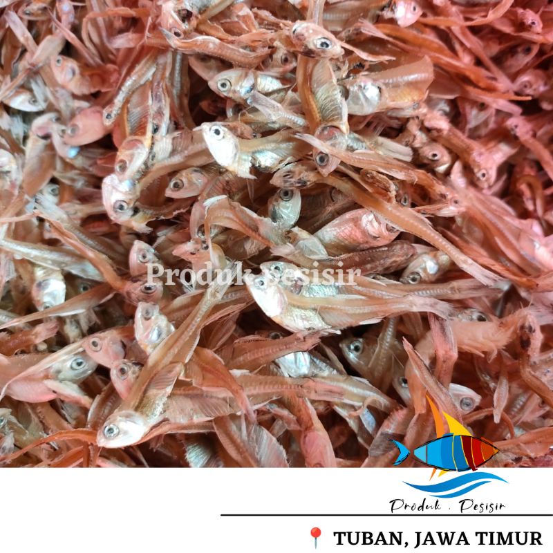 

Teri Bunga Sedikit Asin 100 dan 250 gram