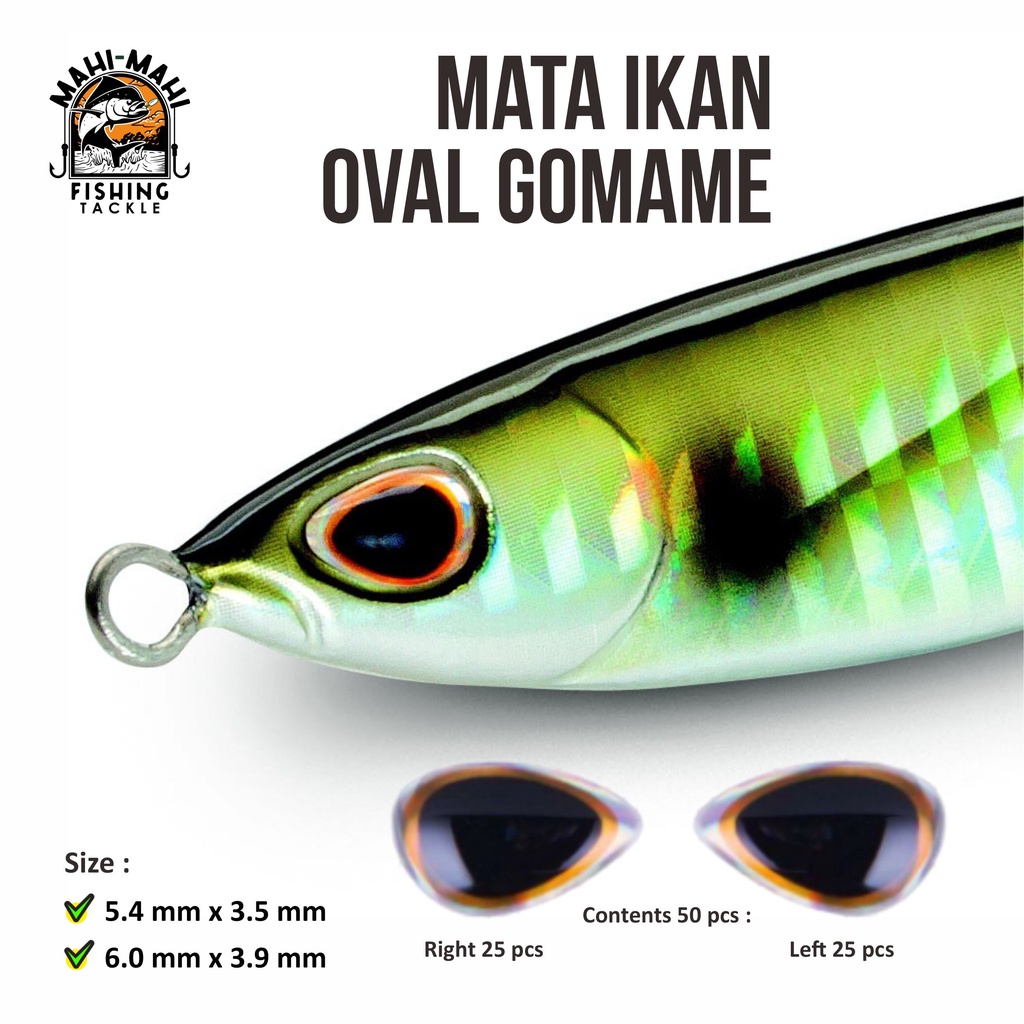 Mata Koika Gomame Oval Sticker Ikan 3D Blank