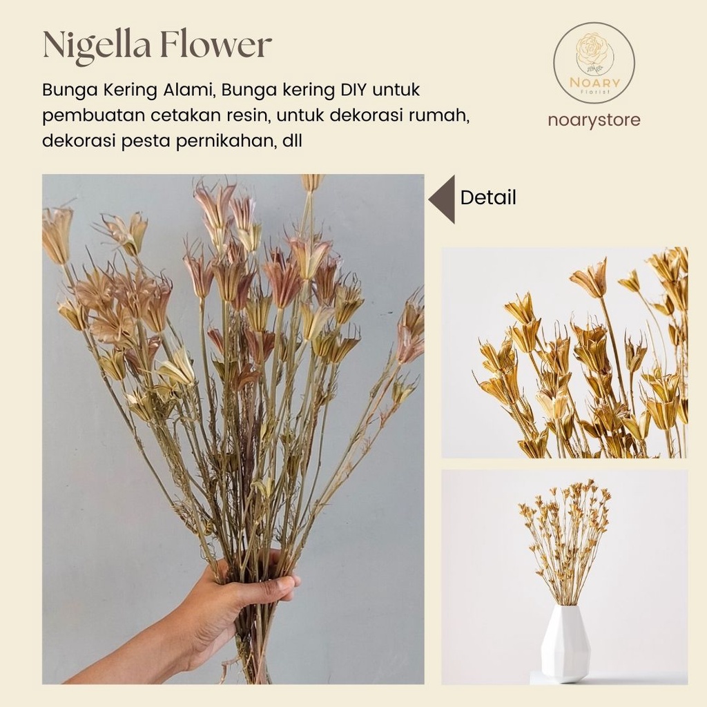 DRIED NIGELLA FLOWER