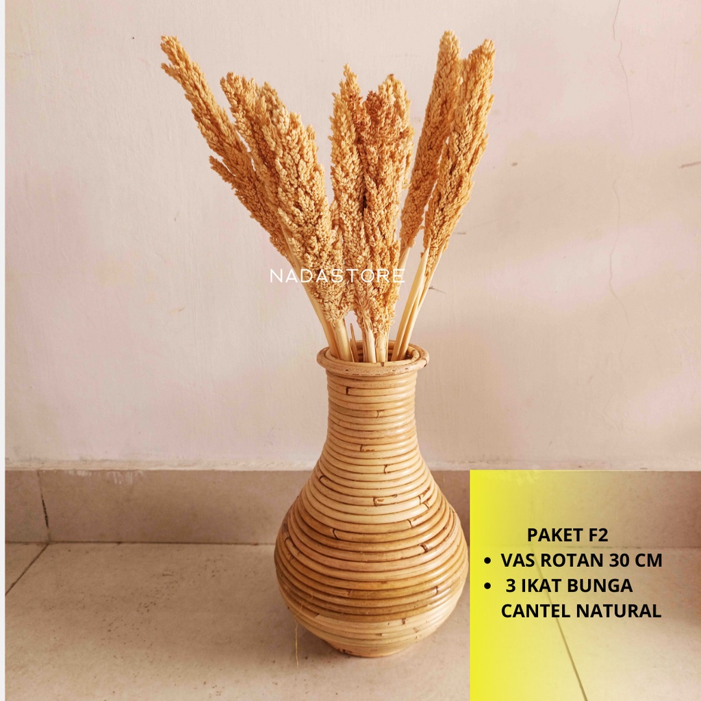 PAKET HEMAT BUNGA KERING DAN VAS ROTAN TERMURAH