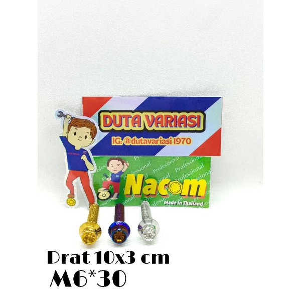 NACOM DV BAUT PROBOLT DRAT 10*3 cm (M6*30)