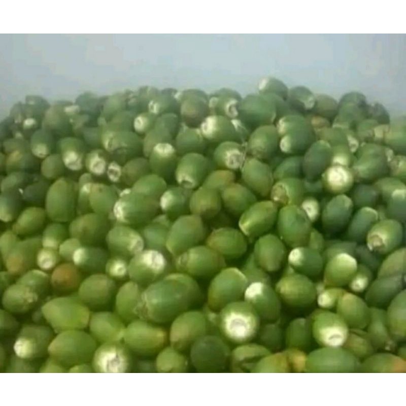 

pinang muda 35000 isi 1 kg
