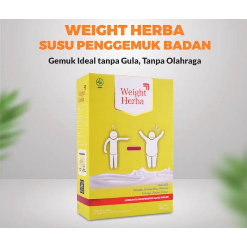 weight herba susu penggemuk badan