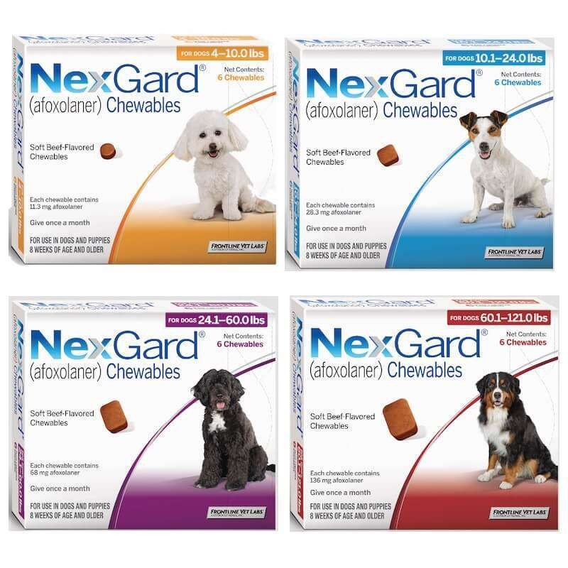 Nexgard Obat Kutu Anjing