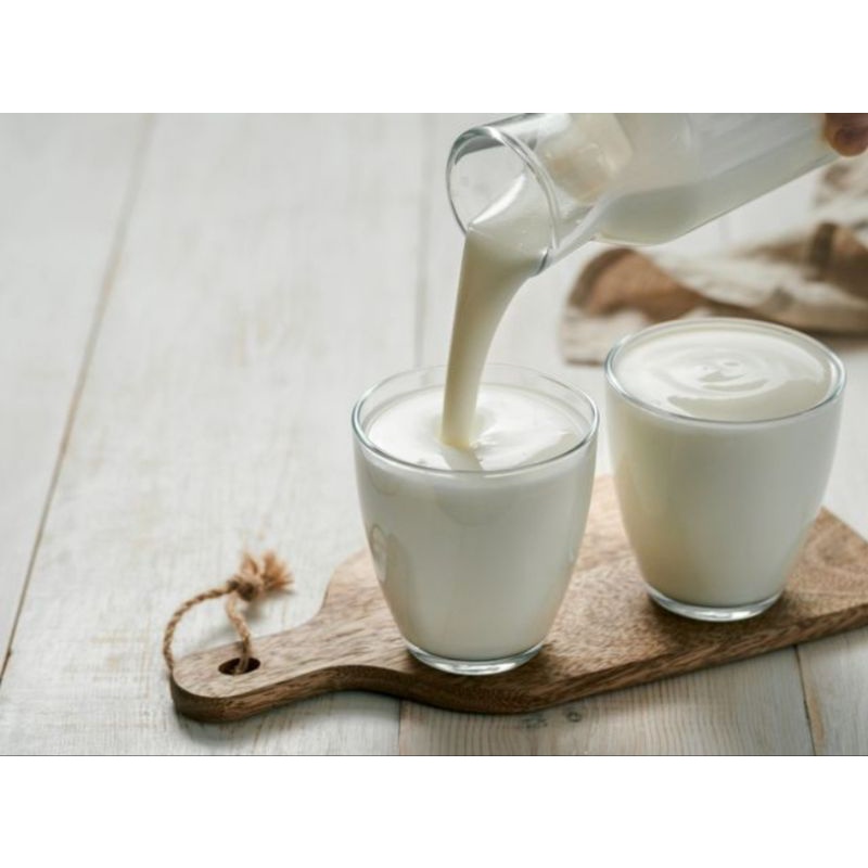 

susu sapi segar murni perah tiap hari