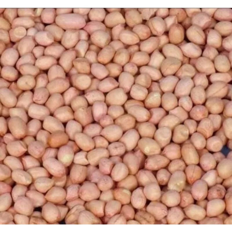 

Kacang Tanah Mentah Gurih 500Gram/1Kg Produk Asli Madura