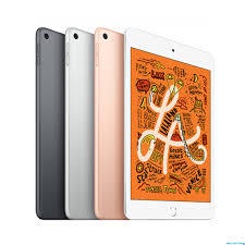 IPAD MINI 5 64 GB SECOND