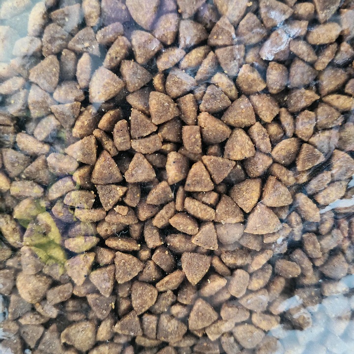 Makanan Kucing EQUILIBRIO Kitten Kemasan 1,5KG