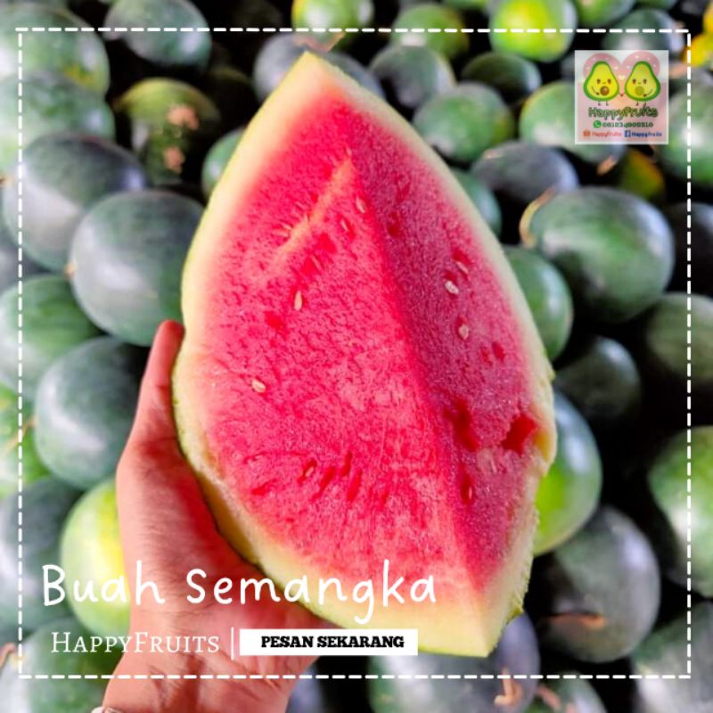 

BUAH SEMANGKA MERAH HAPPYFRUITS