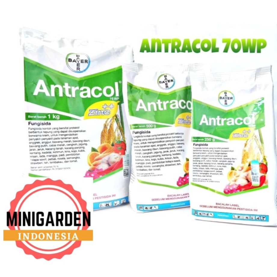 ANTRACOL 1KG FUNGISIDA 70 WP + ZINC obat pengendali hama pembasmi jamur busuk buah tanaman