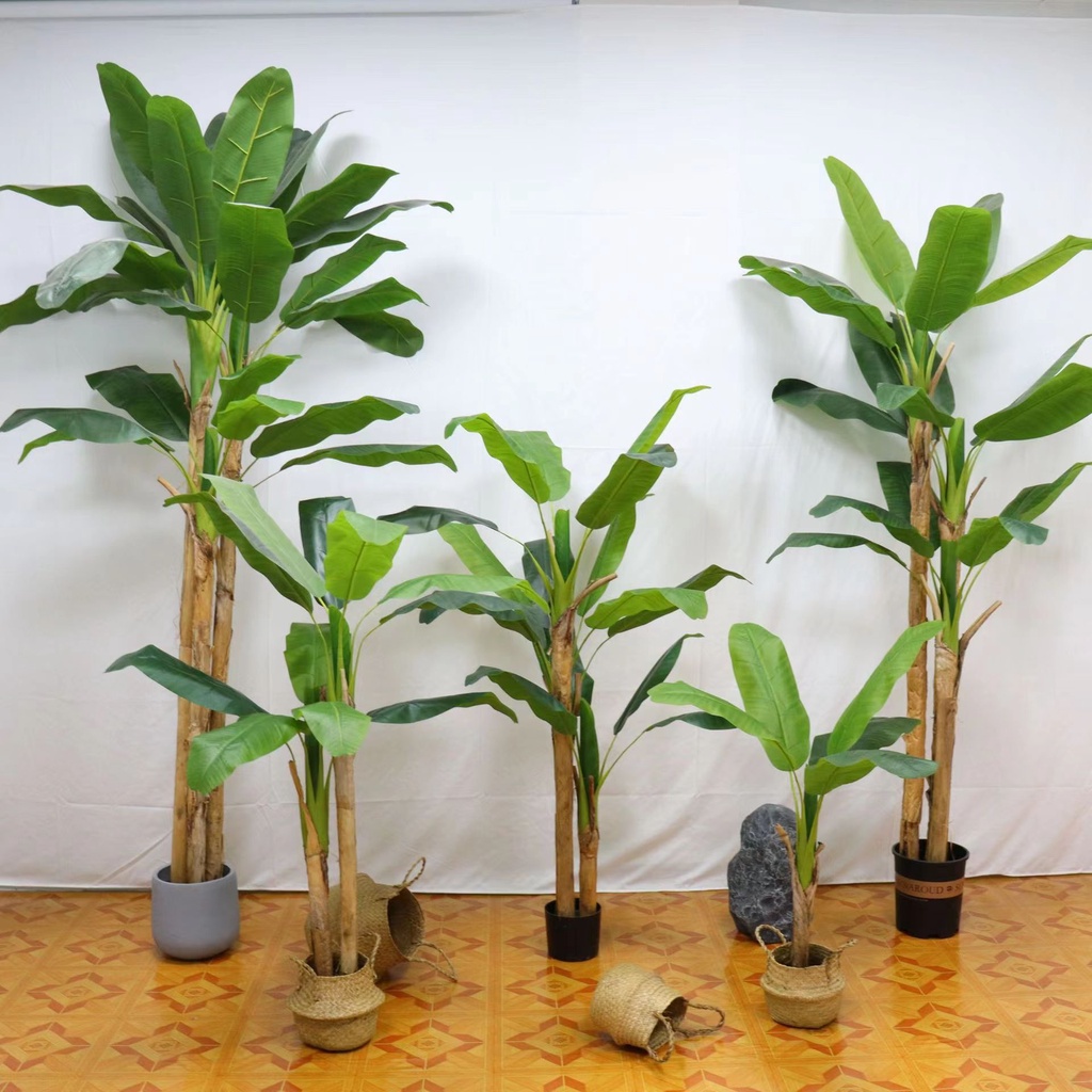 AND / COD / Pohon Pisang Hias 1.6M Dekorasi Rumah Kantor Tanaman Hias Plastik Banana Tree Artificial Flowers Cantik PBP130-03