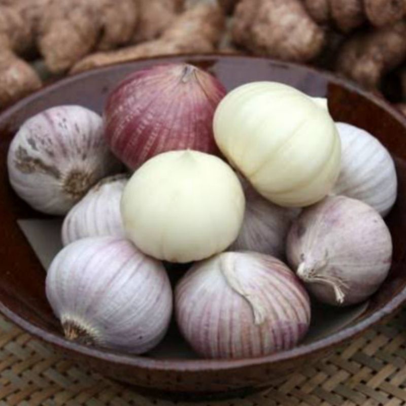 Bawang Putih Tunggal 250 Gram - Bawang lanang