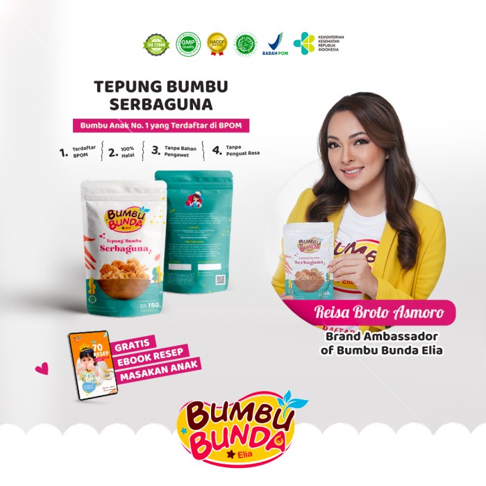 

Bumbu Bunda Elia Tepung Serbaguna Tanpa MSG Tanpa Pengawet
