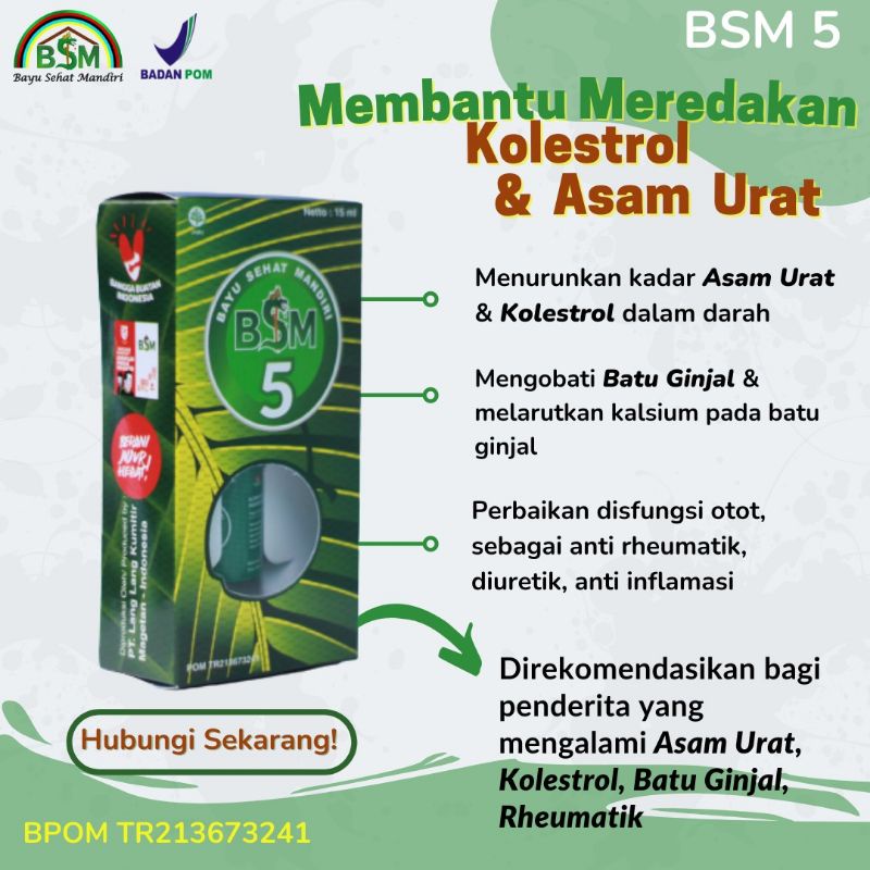 

BSM5 pak bayu diningrat