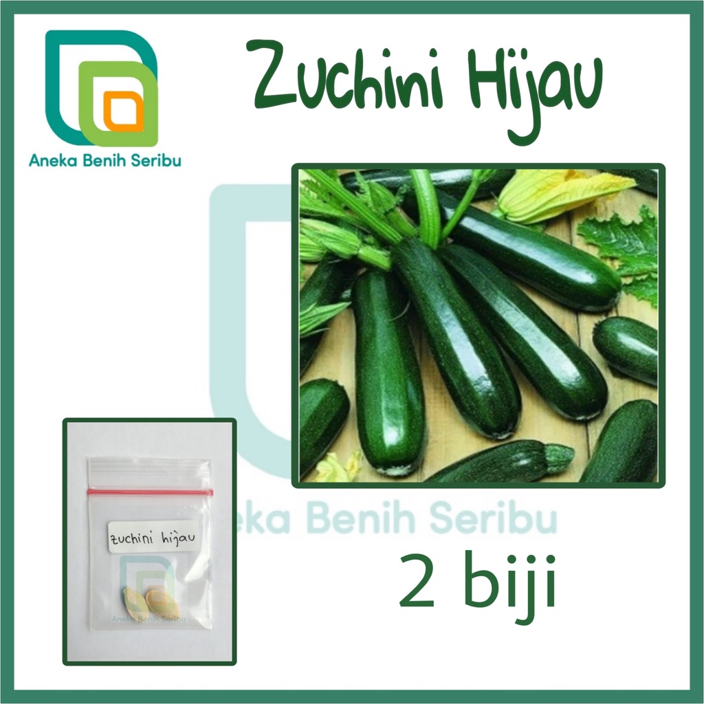 2 Benih Zuchini Hijau Jewel Timun Jepang Known You Seed - Bibit Tanaman Sayur Repack [ SERIBU ]
