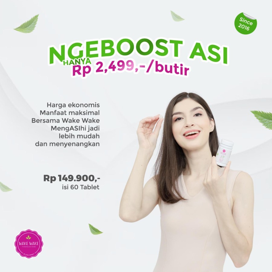 Wake Wake Trio Booster / ASI Booster Torbangun