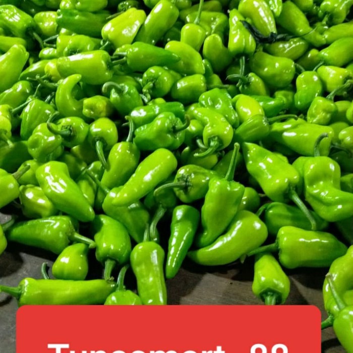 CABE BESAR HIJAU/THAI HIAM CIAU SINGKAWANG PONTIANAK